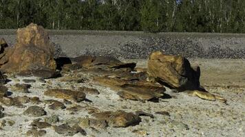 Beautiful brown stones of diferent size under the summer sun on quarry and green forest background. Stock footage. Rocks lying on the ground in front of green trees. photo