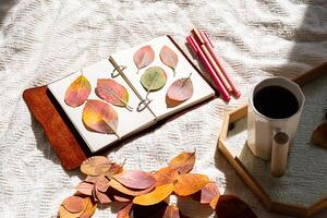 Autumn leaves arranged in notebook. Nature journaling and fall concept. photo