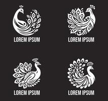 Professional Peacock Logo Creation vector