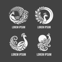Black And White Bundel Logo Design vector