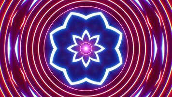 Glowing Red and Blue Flower Shaped Lights Background Loop video