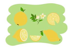 Set of lemons. Fruits, citrus. Whole and slices. Lemon leaf and flower. Flat illustration. Colored background, isolated. vector