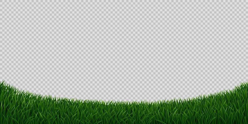 Realistic green grass field or meadow background