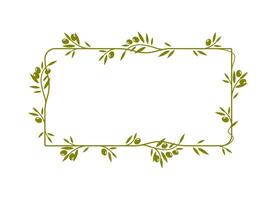 Olive leaves, tree branches and fruits frame vector