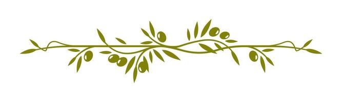 Olive leaves frame border line or divider vector