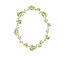 Olive leaves, branches and vines frame border vector