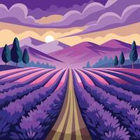 Lavender field with road and trees at sunset vector