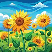 Sunflowers in a field with blue sky and clouds vector