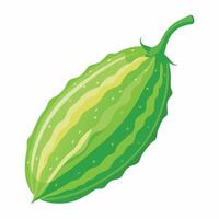 A green cucumber on a white background vector