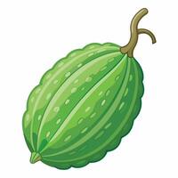 Cocoa pod isolated on white background illustration vector