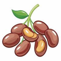 A bunch of beans with leaves on a white background vector