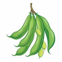A bunch of green peas on a white background vector