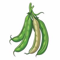 Three green peas on a white background vector