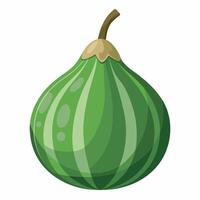 An illustration of a green fig vector