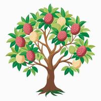 An illustration of a litchi tree vector