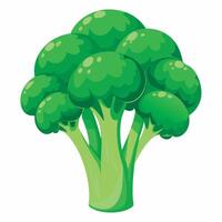 Broccoli cartoon illustration illustration vector