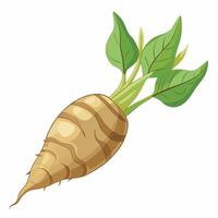 A cartoon illustration of a root vegetable vector