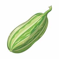 A green cucumber is shown on a white background vector