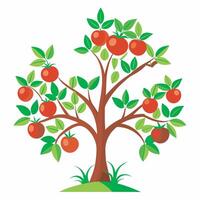 Apple tree with fruit on it vector