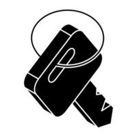 A beautiful design icon of key vector