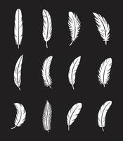A collection of feathers for artwork compositions vector