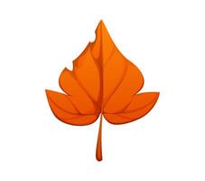 Cartoon autumn fall leaf with warm orange hues vector