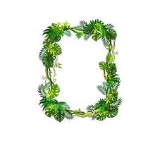 Tropical jungle frame with forest liana branches vector