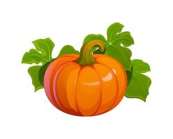 Cartoon autumn pumpkin with lush green leaves vector