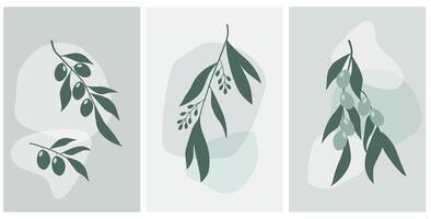 A set of abstract posters with olive branches and fruits against a background of spots and arbitrary shapes. vector