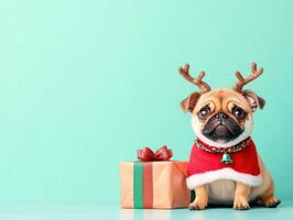 Cute pug dressed as a reindeer, with tiny antlers and a jingle bell collar, sitting beside a Christmas present wrapped in festive paper, 8k, realistic texture, copy space for text photo