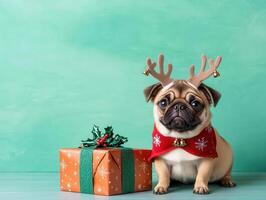 Cute pug dressed as a reindeer, with tiny antlers and a jingle bell collar, sitting beside a Christmas present wrapped in festive paper, 8k, realistic texture, copy space for text photo