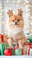 Pomeranian in a reindeer costume, sitting on a pile of wrapped Christmas presents, lights twinkling and ornaments glittering all around, 8k, realistic texture, copy space for text photo