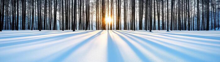 A serene winter landscape showcasing tall trees blanketed in snow, with sunlight filtering through, creating a peaceful and magical atmosphere. photo