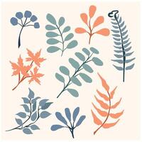 Hand drawn abstract set boho leaf with background cream vector