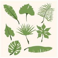 Hand drawn color branches of tropical plants leaves with background cream vector