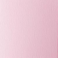 Pink background with a white line. Minimalist graphic design for projects. photo