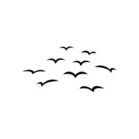 flying bird, birds fly freely in the air, without background vector