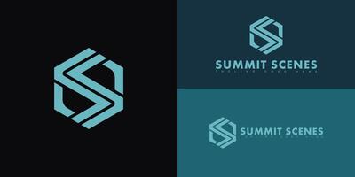 Modern initial hexagon letter S or SS logo in blue color isolated on multiple background colors. The logo is suitable for the production family of film studio logo design inspiration templates. vector