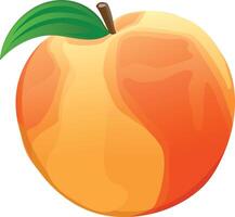 an orange peach with a leaf on it vector