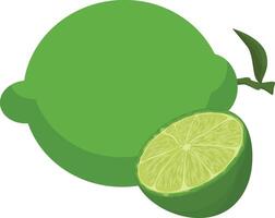 a lime and a slice of lime on a white background vector
