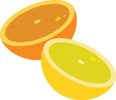 orange and lemon slices vector