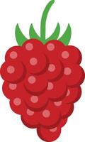 raspberry clip art illustration vector