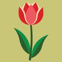 a red tulip on a green background vector