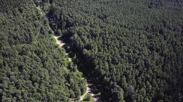 Aerial view of unlimited space of forest plain and cars which are riding on highway. Clip. Road in the autumn forest aerial view. aerial view over road between forests photo