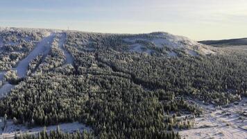un hermosa aéreo de personas esquiar en un Nevado montaña a esquí recurso en azul cielo antecedentes. imágenes. soleado, invierno día en verde pino arboles bosque y Nevado Alpes pendientes con funicular. foto