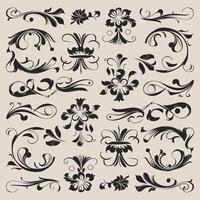 A set of decorative elements for design vector