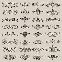A large collection of ornamental designs vector