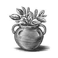 A drawing of a vase with plants inside vector