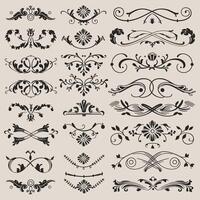 A set of decorative elements and designs vector