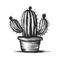 Cactus in pot sketch illustration vector